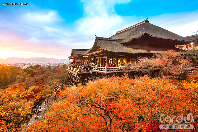 秋季旅展好康預備起　賞楓搭郵輪無腦出遊