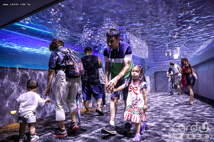台中海洋館正式開幕,串聯梧棲觀光漁港、高美濕地觀光(圖/台中市政府 提供)