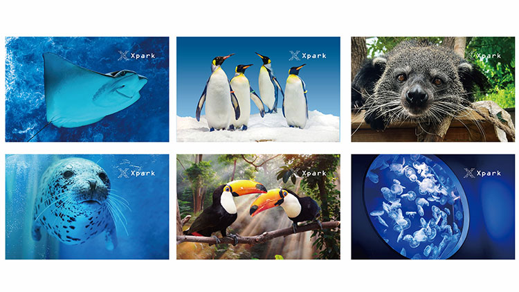 自動售票機限定~6款超萌門票。