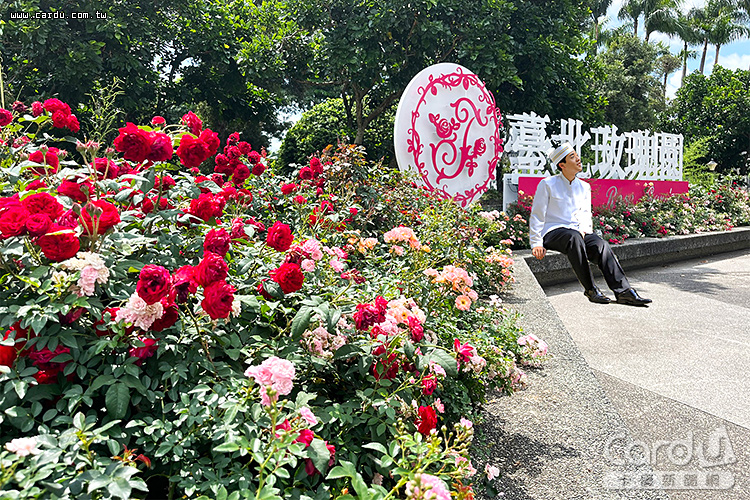 花博公園新生園區啟動「台北玫瑰展」祭出周邊商圈的優惠(圖/晶華酒店 提供)
