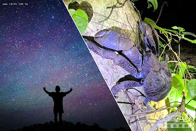 入夜後深入叢林尋找夜行生物,親睹絕美的壯闊星空(圖/Booking.com 提供)