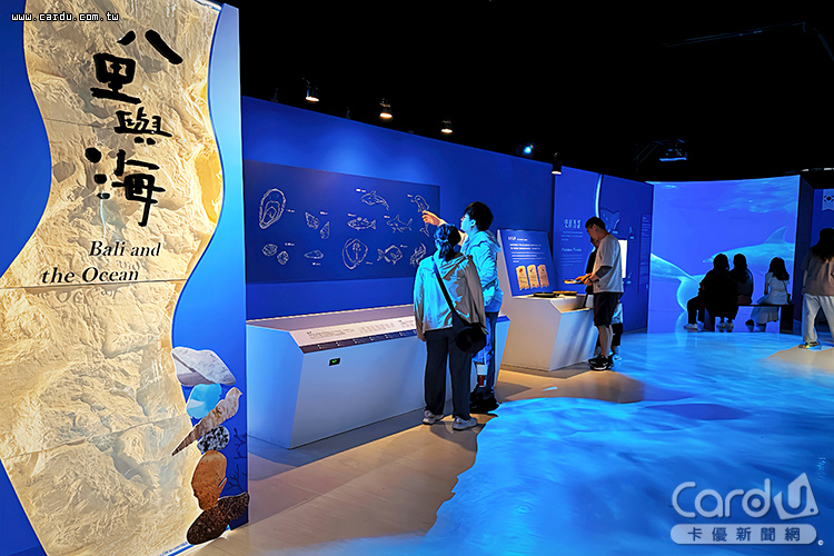 「阮ê海海人生-台韓海洋文化特展」首度與韓國策畫合作(圖/新北市政府 提供)