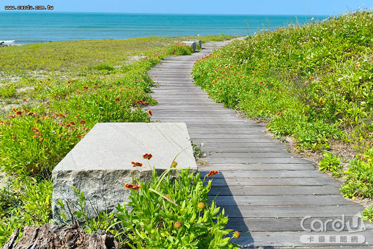 沿著步道一邊吹著海風、一邊欣賞花海與海景同框的美景(圖/新北市政府 提供)