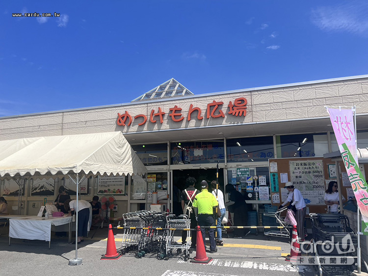 ▲一大早跟著日本人排隊搶買水蜜桃